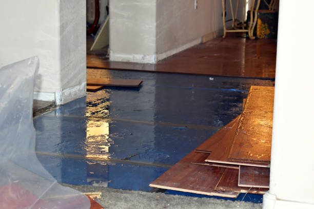 Professional Basement Flood Cleanup technician working in Dravosburg, PA